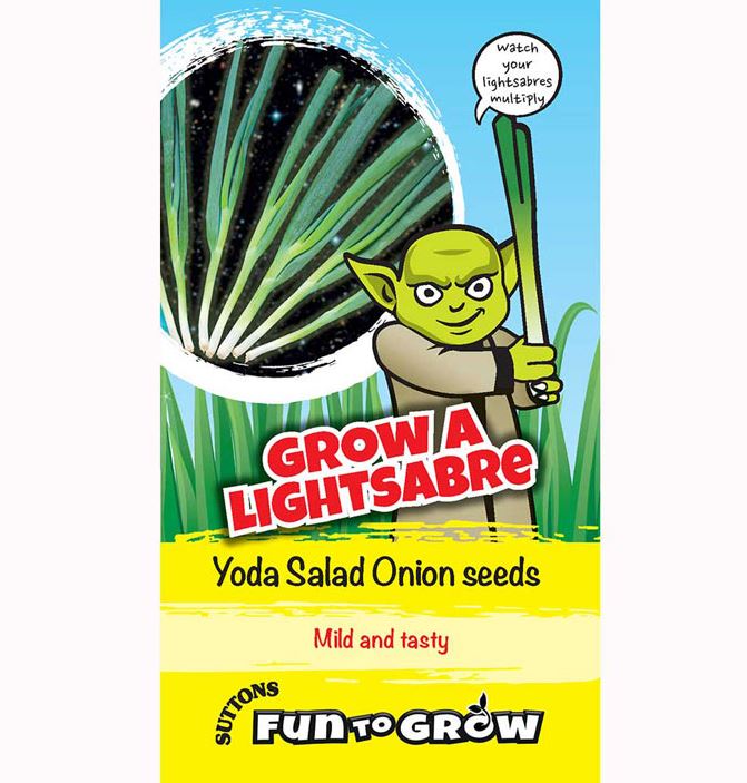 Onion &
