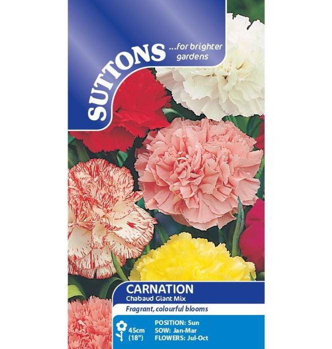 Carnation &