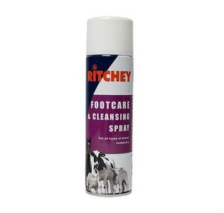 RITCHEY FOOTCARE &amp; CLEANSING SPRAY 500ML