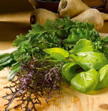 Leaf Salad &