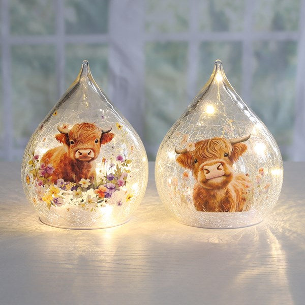 LED Highland Teardrop 15cm 2 Assorted