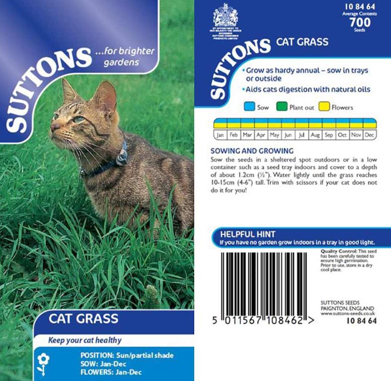 Cat Grass - Seeds