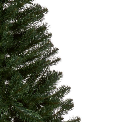 Woodcote Spruce - 1.8m