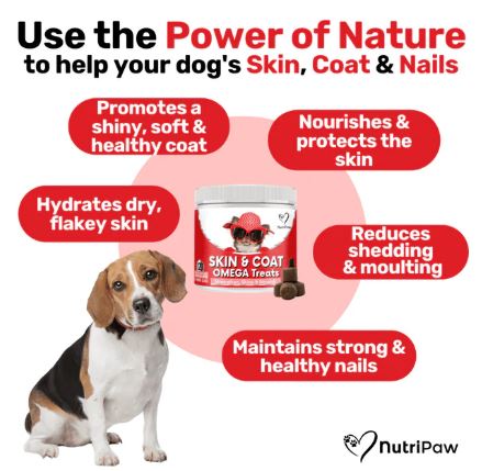 NutriPaw Skin &amp; Coat Omega Treats 120 Chews