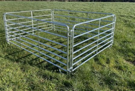 Condon 5ft Sheep Hurdle