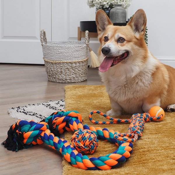 Uber-Activ Ball &amp; Ball Lobber