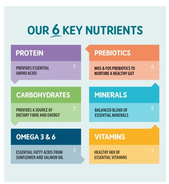 Naturo Grain Free Salmon 400g