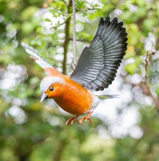 Vida Chadffinch in Flight