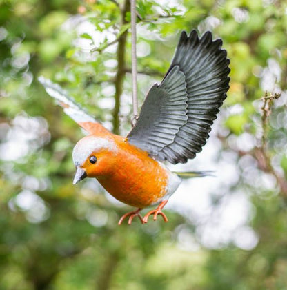 Vida Chadffinch in Flight