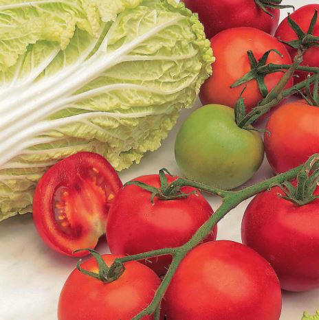 Tomato F1 &