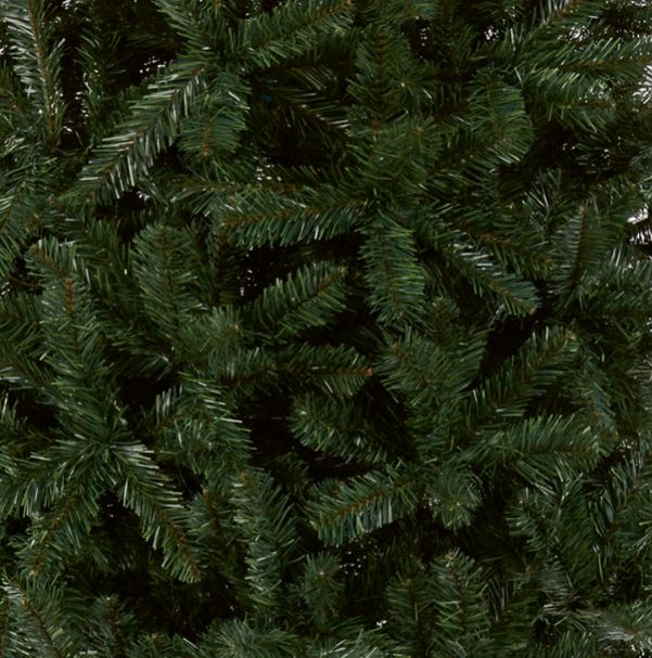 Woodcote Spruce - 2.1m