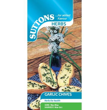 Garlic Chives - Herb Seeds