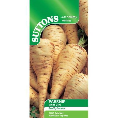 Parsnip &