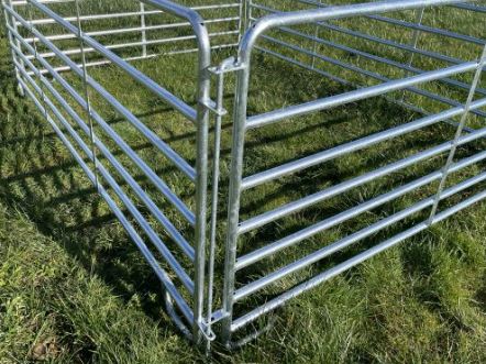 Condon 5ft Sheep Hurdle