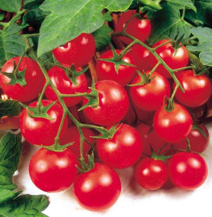 Tomato &
