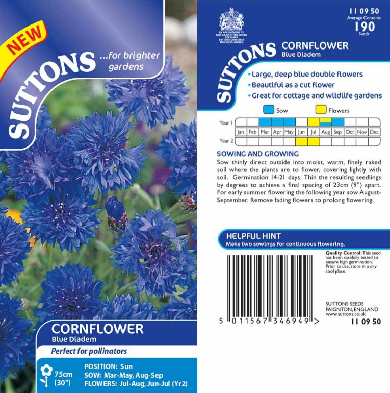Cornflower &