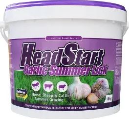 HeadStart Garlic Summer Lick 18kg