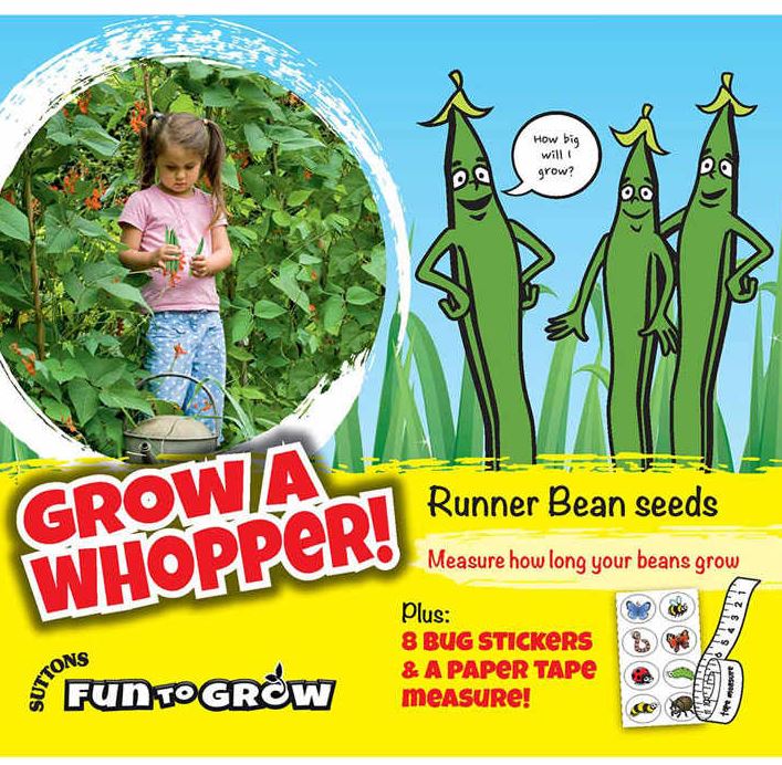 Runner Bean &