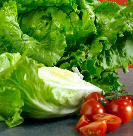 Lettuce &