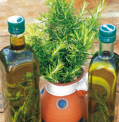 Rosemary - Herb Seeds