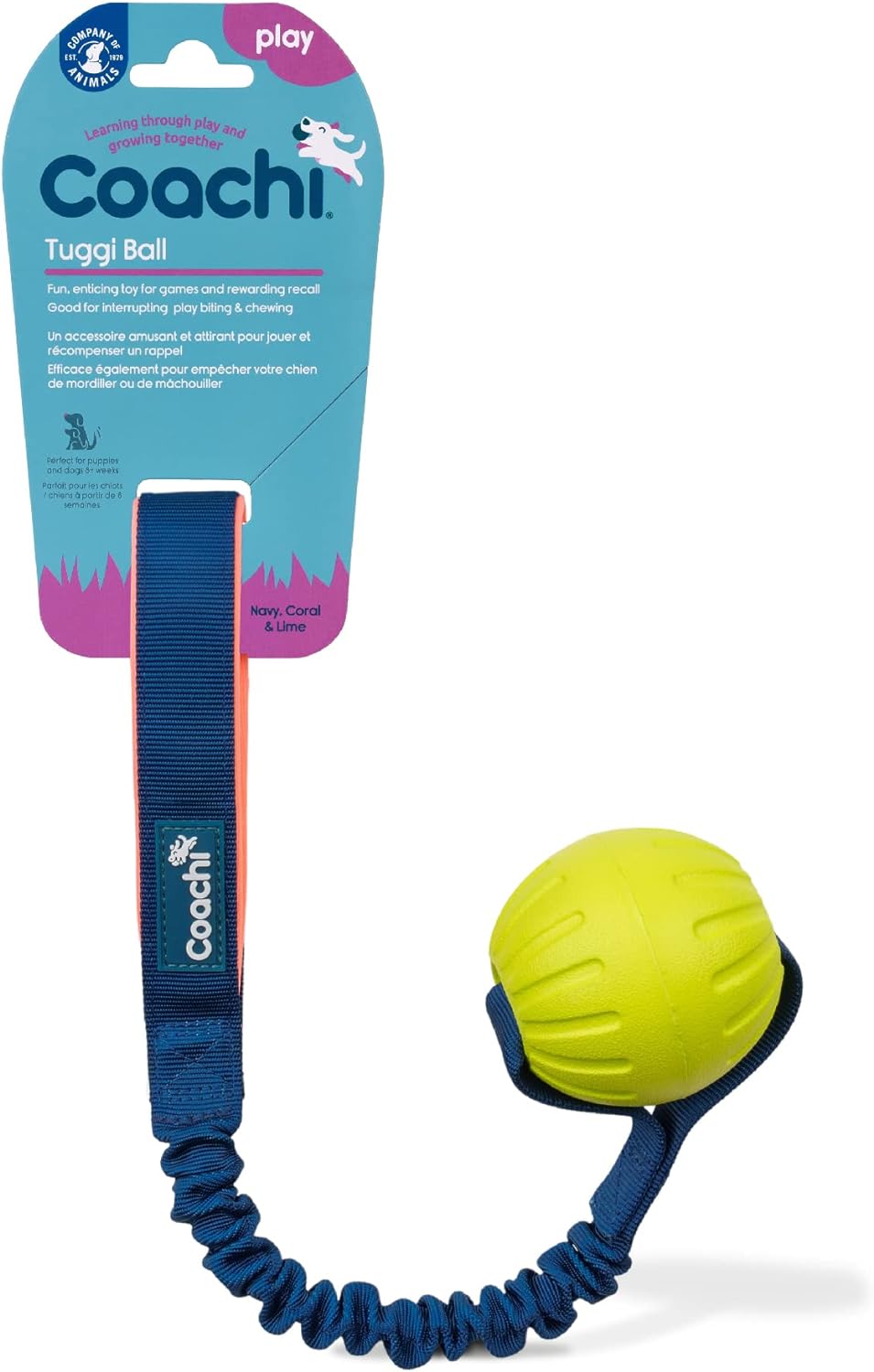 Coachi Tuggi Ball Dog Toy - Navy, Coral & Lime