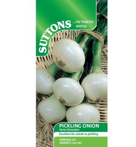 Onion &