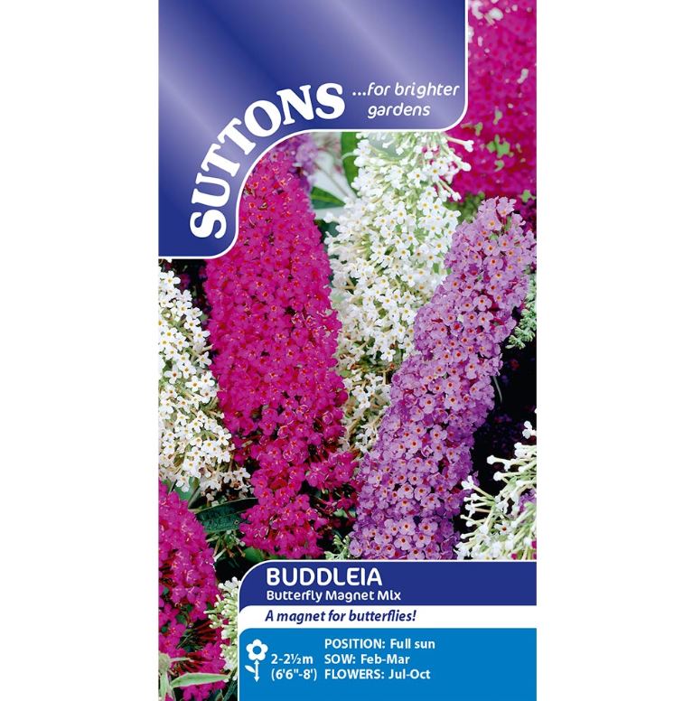 Buddleia &