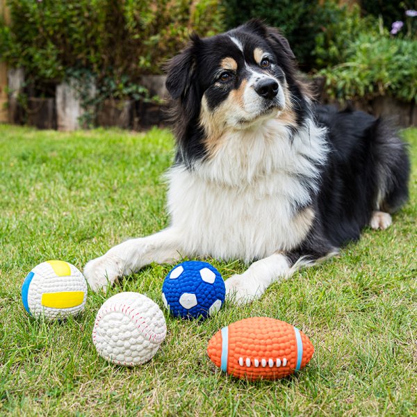 Squeaky 9cm Latex Pooch Ball - Assorted (1 Item Only)