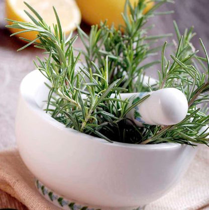Rosemary - Herb Seeds