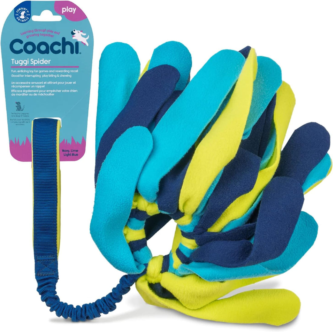 Coachi Tuggi Spider Dog Toy - Navy, Lime & Blue