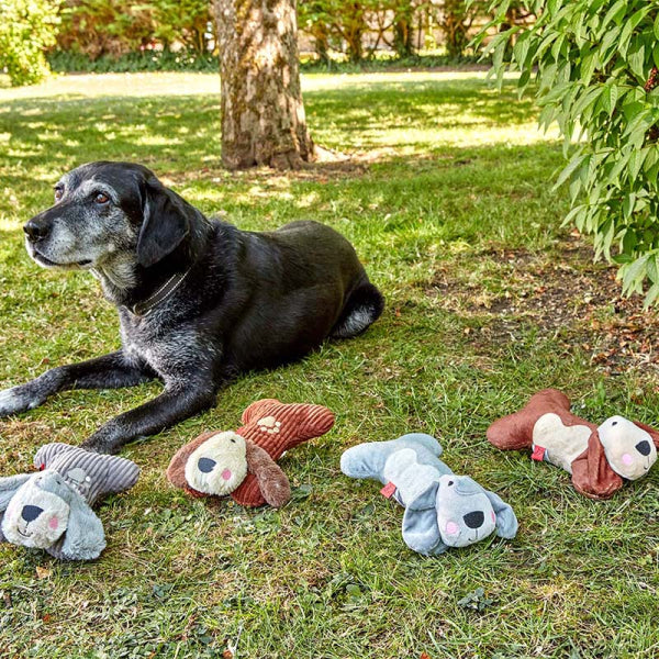 Sausage Doggie - Assorted - 1 Item Only