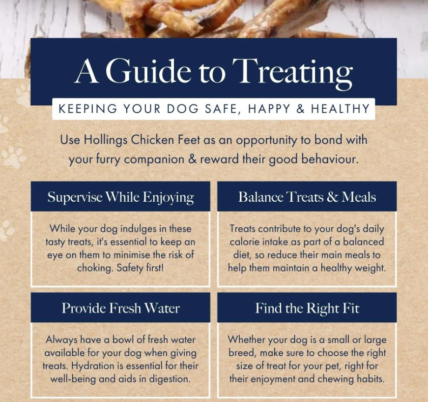 Hollings Chicken Feet 100g