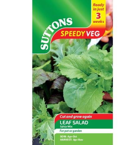Leaf Salad &