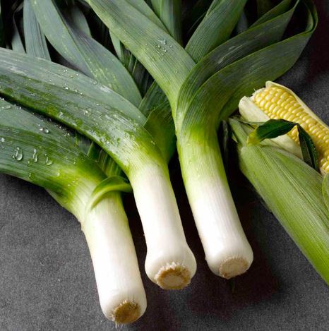 Leek &
