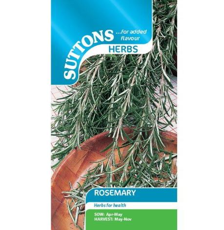 Rosemary - Herb Seeds