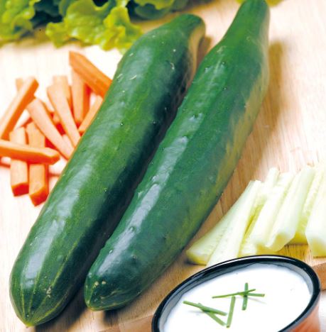 Cucumber &