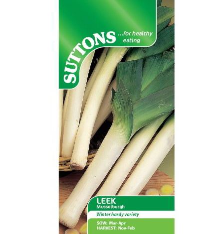 Leek &