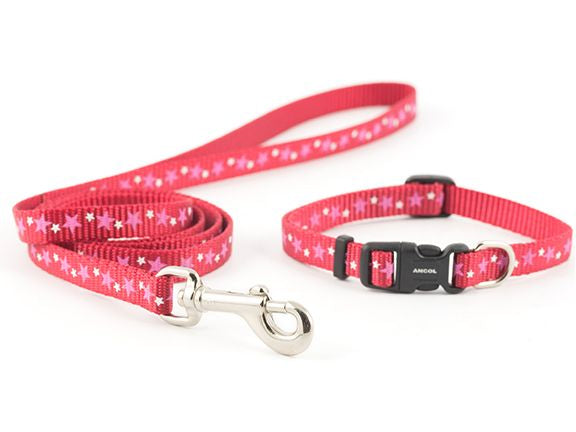 Small Bite Stars Puppy Collar &amp; Lead