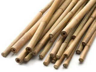 Grass Roots Bamboo Canes - Pack of 10