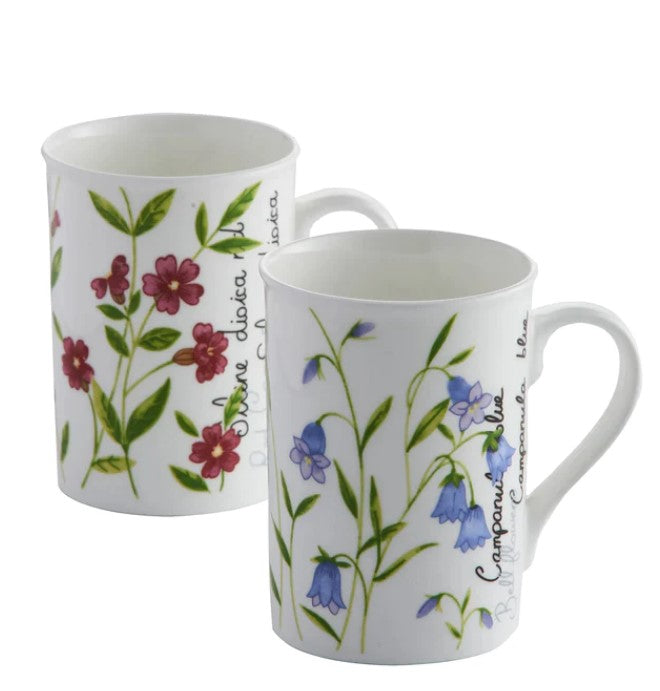 Price & Kensington Botanical Assorted Bone China Mug