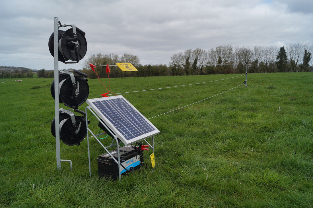 Solar Panel with Regulator & Stand