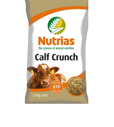 Calf Feeds