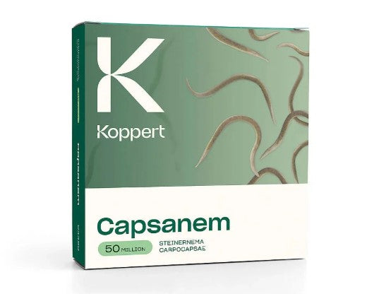 Capsanem 50 Million - Leather Jacket Control