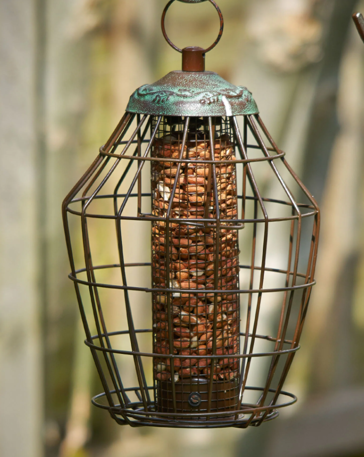Peckish Secret Garden Squirrel Proof Peanut Feeder