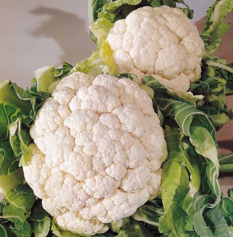 Cauliflower &