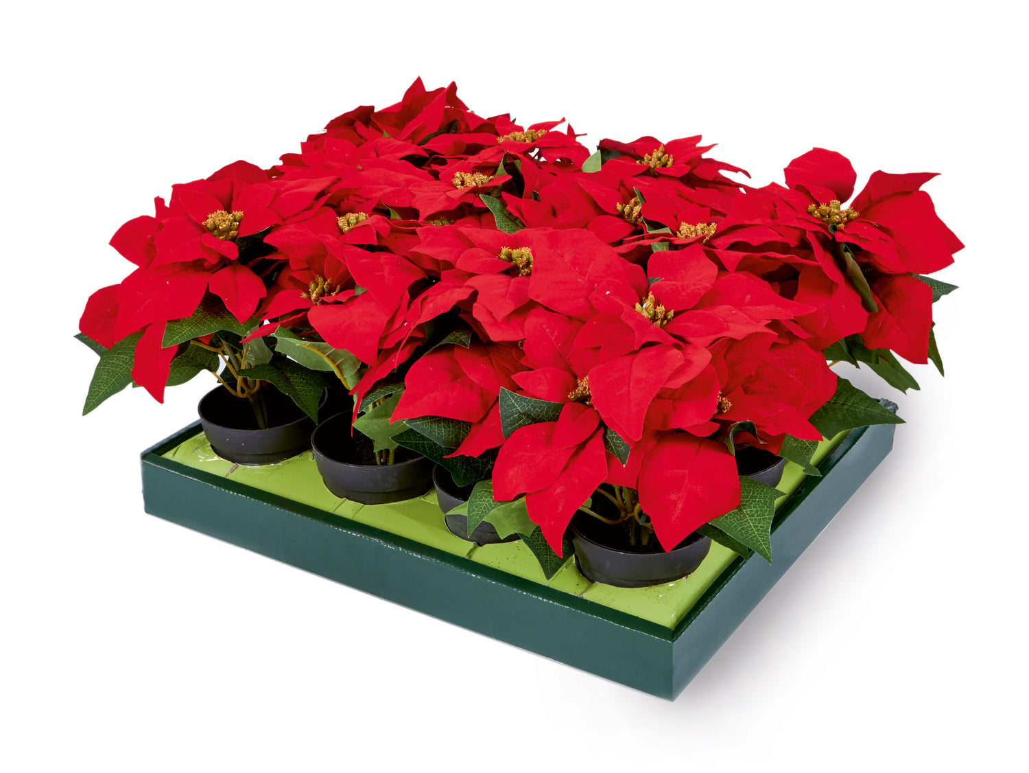 Red Poinsettia in Vase - 24CM