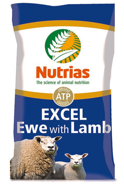 Sheep & Lamb Feed