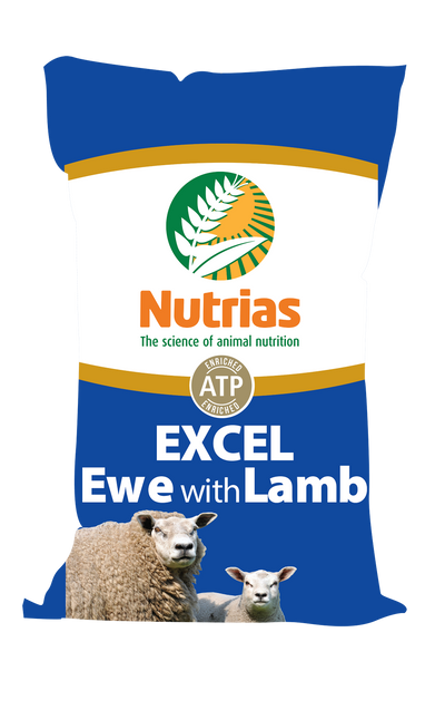 Sheep & Lamb Feed