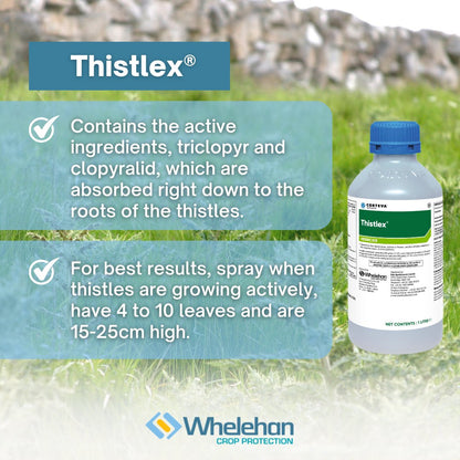Thistlex 1L