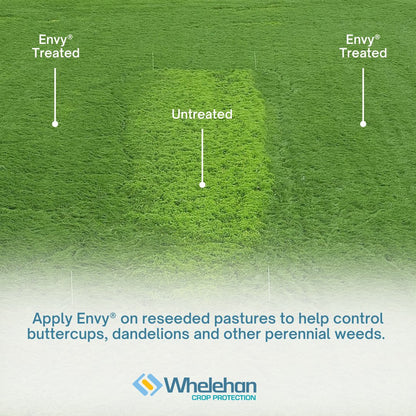 Envy 3L